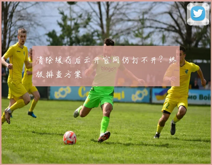 清除缓存后云开官网仍打不开？终极排查方案